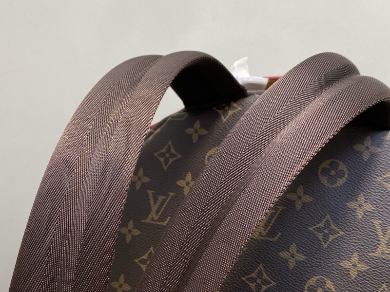 LV Backpacks